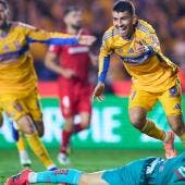 Tigres