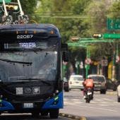 También se prevén afectaciones en el servicio de Metrobús que circula en las inmediaciones de la Basílica, así como alteraciones viales en calles y avenidas primarias del norte de la ciudad.
