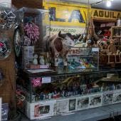 7 DE ENERO DIA DEL COLECCIONISTA