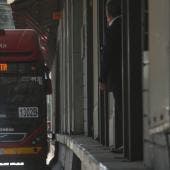 amplian horarios transporte CDMX Reyes Magos.jpg