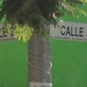 caen tres sujetos robo cable Nueva Atzacoalco.jpg