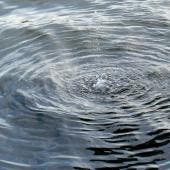 Aunque 2025 fue uno de los años más lluviosos de la historia, con un almacenamiento récord de 97.40% registrado el 31 de octubre, en lo que va de 2026 no se ha registrado ninguna precipitación significativa.