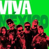 Canción de Molotov para el mundial