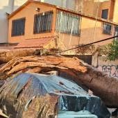 Primeros daños por sismo 6.5 