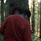 El jardín que soñamos