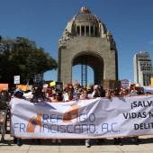 exigira Refugio Franciscano regreso animales.jpg