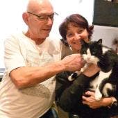 Filou el gato extraviado que recorrió 250km foto de leparisien