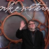 Pese al amplio número de candidaturas, la película quedó fuera en dos categorías clave: mejor dirección, para Guillermo del Toro, y mejor actor