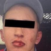 hombre mata presunto asesino perros.jpg