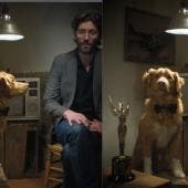 Indy, el perro más talentoso del cine, ¡gana el Astra Award a Mejor Actuación y roba el corazón del mundo! 
