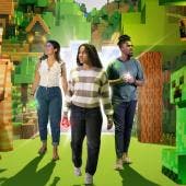 minecraft experience