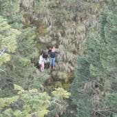 El operativo se activó tras un reporte de monitoreo de emergencias, luego de que se informara que una pareja que recorría un sendero del Circuito del Ajusco no regresó al punto de partida