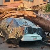 Brugada Molina destacó que el sistema de altavoces de la Ciudad de México tuvo una efectividad del 98%.