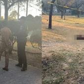 Según trascendió, el sujeto desolló a uno de los animales con el objetivo de despedazarlo e ingerirlo. Además, habría estado bajo el efecto de algún estupefaciente.