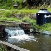 hallan maleta cuerpo mujer asesinada Los Dinamos.jpg