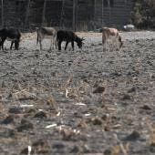 logra sequia Mexico su nivel mas bajo seis anos.jpg