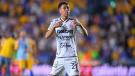 Rayados de Monterrey