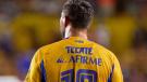 Tigres