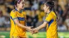 Tigres