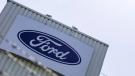 alerta Profeso fallos autos Ford.jpg