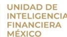bloquea UIF cuentas diputada Morena nexos Los Mayos.jpg