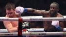 Saul 'Canelo' Álvarez vs Terence Crawdford