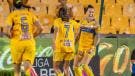 Tigres Femenil 