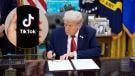 Trump TikTok