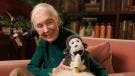 Jane Goodall