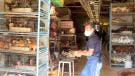 Mercado Sonora