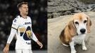 Aaron Ramsey