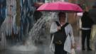 Las autoridades recomendaron a la ciudadanía retirar objetos que puedan caer de azoteas, no subir a andamios ni cornisas, evitar resguardarse bajo árboles durante la lluvia 