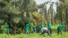 aporta voluntariado manos Xochimilco.jpg