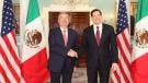 De la Fuente y Marco Rubio 