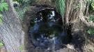 Como parte de las acciones de apoyo a las comunidades, este sábado se entregaron 657 despensas, 40 tinacos y 6 mil 384 botellas de agua
