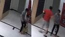 Empuja a un perro y el dueño lo noquea