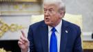 explora Trump opciones ley insurrecion Vance.jpg