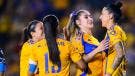 Tigres femenil