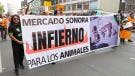 Marcha vs Mercado de Sonora