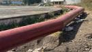metropolitano_25