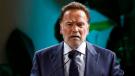Schwarzenegger 