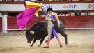 corridas de toros