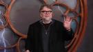 Guillermo Del Toro Artesano Mexicano