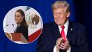 Claudia Sheinbaum y Donald Trump
