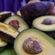 Exportación de aguacate mexicano a EU por Super Bowl aumenta 4% en 2021