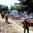 Disminuyen incendios en Edomex