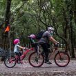 nuevas-reglas-para-ingresar-al-bosque-de-chapultepec.jpg