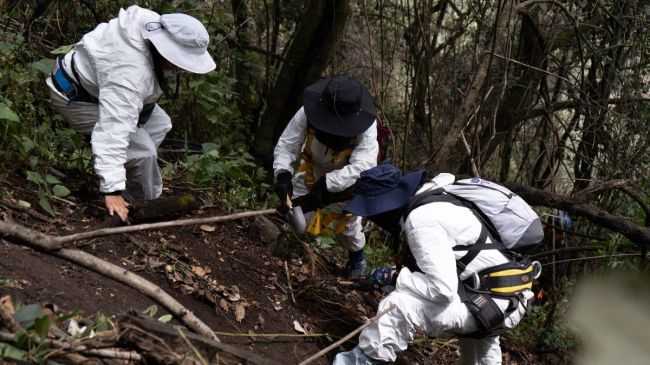 CDMX paraiso desapariciones
