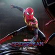 spider.jpeg