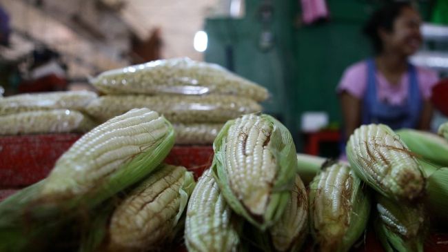 alimento-mex.jpg